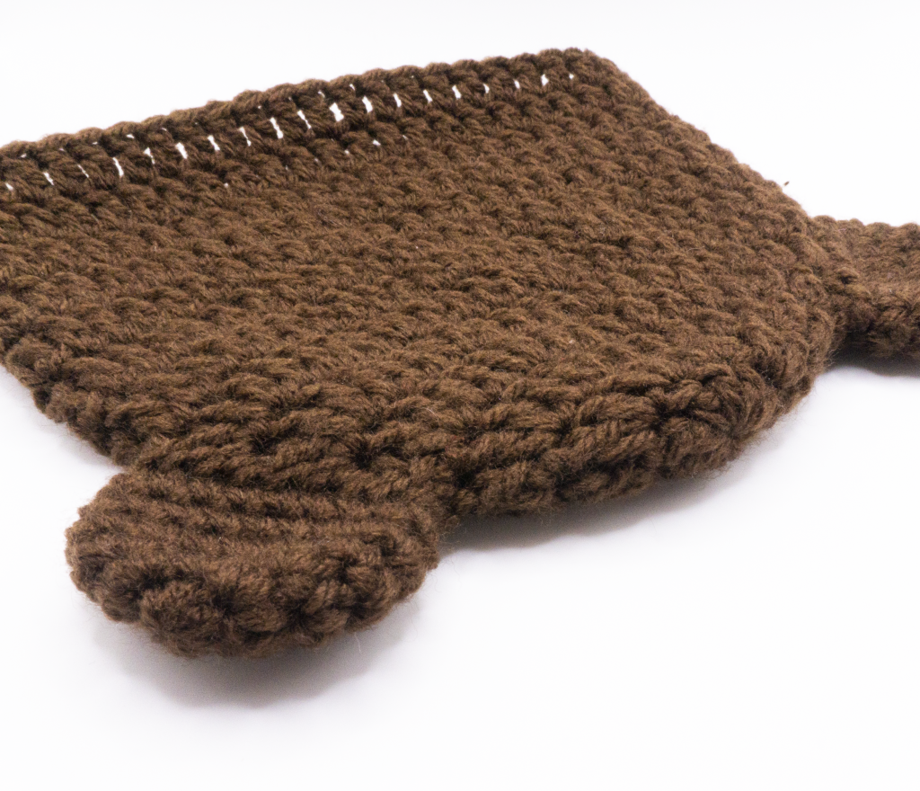 Teddy Bear Hat