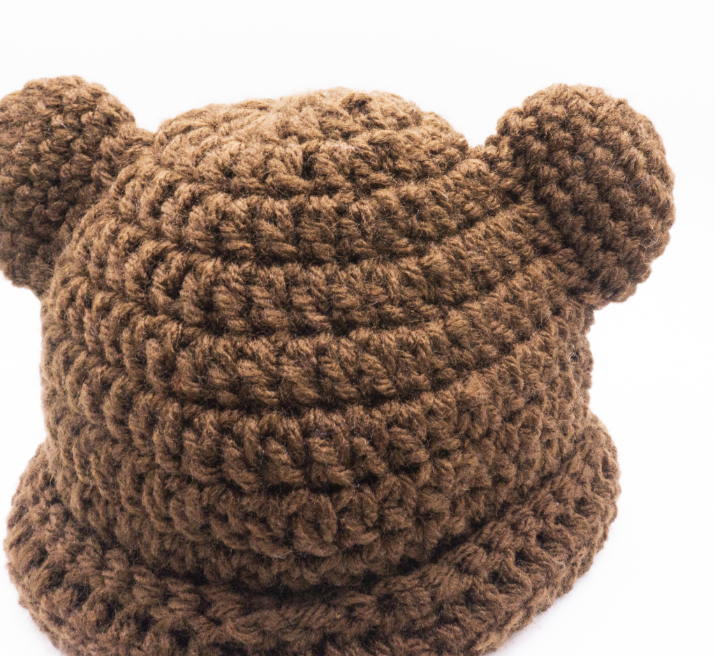 Teddy Bear Hat