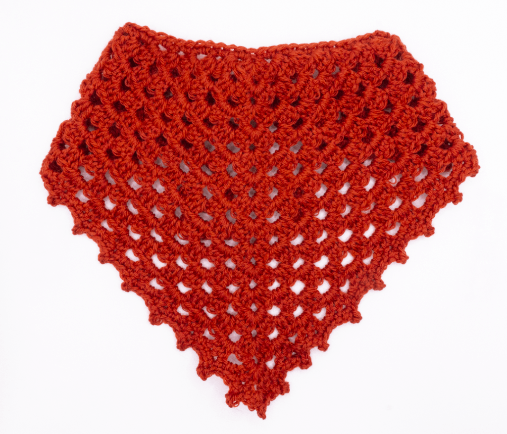 Bandana 5