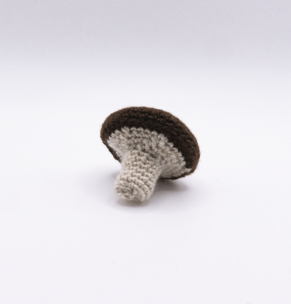Crochet Mushroom 4