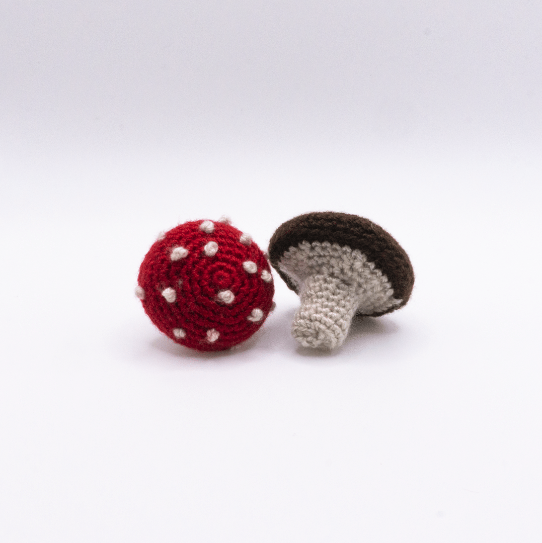 Crochet Mushroom 5